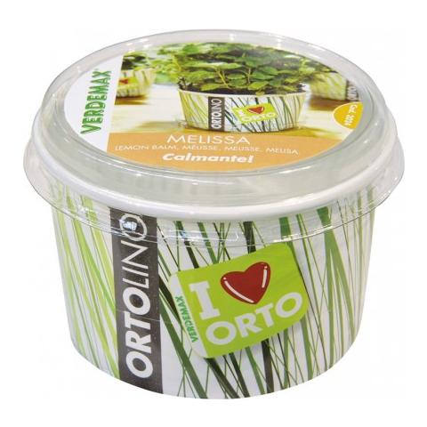 Kit Ortolino, Vaso Pp, Terriccio, Semi Melissa - Foto 4