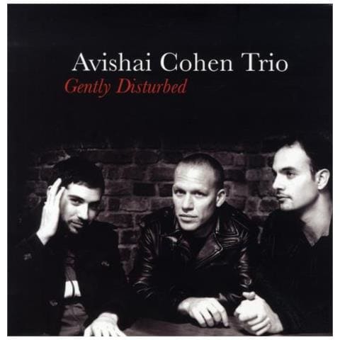 Avishai Cohen Trio - Gently Disturbed - Foto 1