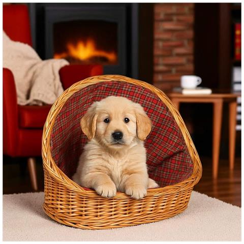 Cuccia Lettiera In Vimini Con Cuscino Cesta Lettino Per Animali 54x40x44 Medium - Foto 1