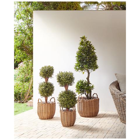 Set Di 3 Vasi Per Piante Aucuba Rattan Sintetico 26/34/44 Cm Marrone Chiaro - Foto 8