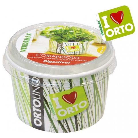 Kit Ortolino, Vaso Pp, Terriccio, Semi Coriandolo - Foto 4