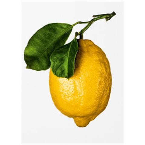 The Gourmand's Lemon. A Collection Of Stories & Recipes - Foto 1