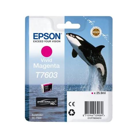 C13T76034N10 cartuccia d'inchiostro 1 pz Originale Magenta vivido - Foto 1