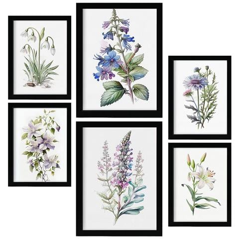 Set Di 6 Stampe Gigli Stampe Naturalistiche E Botaniche A Colori Con Motivi Floreali Su Sfondi Bianchi Puri Design D'interni A3 & A4 Senza Cornice - Foto 1