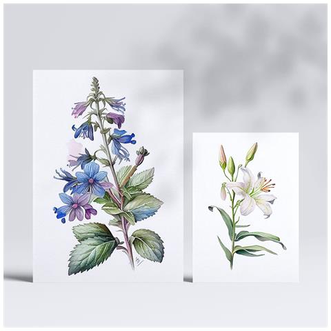 Set Di 6 Stampe Gigli Stampe Naturalistiche E Botaniche A Colori Con Motivi Floreali Su Sfondi Bianchi Puri Design D'interni A3 & A4 Senza Cornice - Foto 2