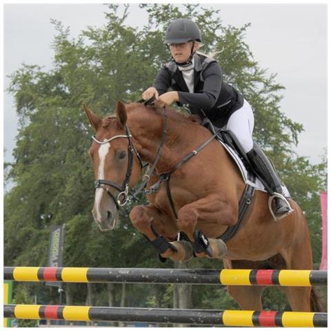 Ridingbreeches Adult 38 - Foto 1