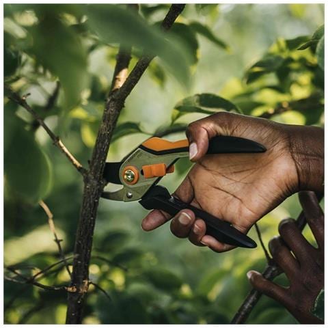 Solid P331 cesoia da potatura Bypass Nero, Arancione - Foto 2