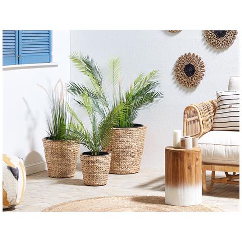 Set Di 3 Vasi Per Piante Giacinto D'acqua Naturale Plaka - Foto 1