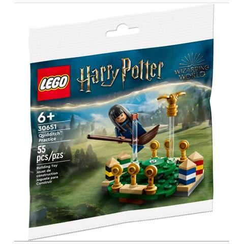 Harry Potter - Allenamento Di Quidditch (30651) - Foto 1