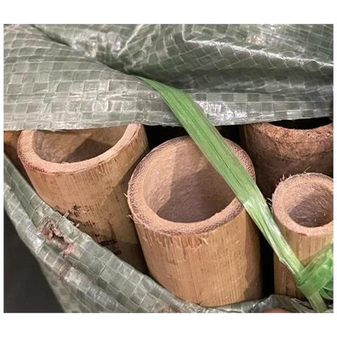 Arella In Cannette Frangivista Di Bamboo Pulita Master 15mm Garden Deluxe Collection - Foto 6