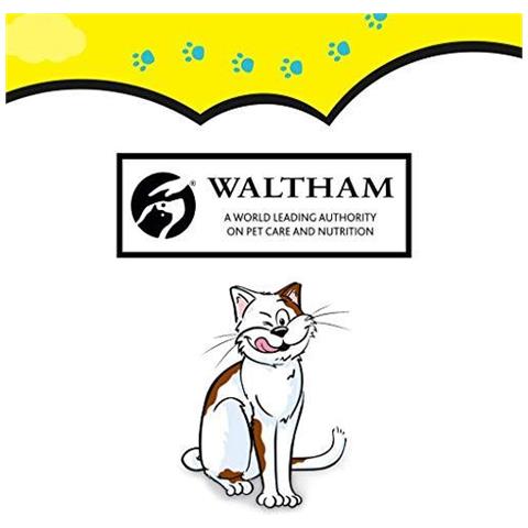 Cat Treats Variet Snack Box Con Pollo Formaggio E Salmone 1 Scatola (12 X 60 G)  - Foto 2