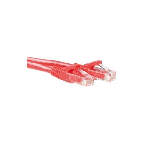 Cavo Rete - Categoria 6 - 50 cm - 1 x RJ-45 Maschio Rete - 1 x RJ-45 Maschio Rete - Cavo patch - Rosso - Foto 1
