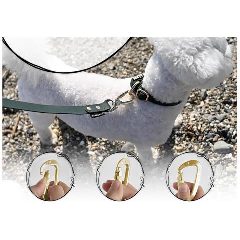 Firstpaw Guinzaglio Per Cani Regolabile Imbottito 2 M Verde Scuro - Foto 2