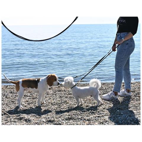 Firstpaw Guinzaglio Per Cani Regolabile Imbottito 2 M Verde Scuro - Foto 4