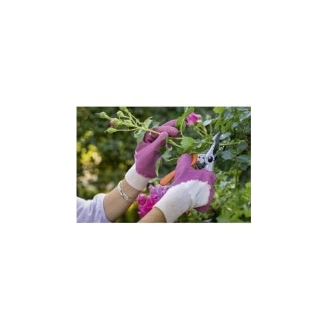 Guanti Per Rose 9 / m - Foto 2