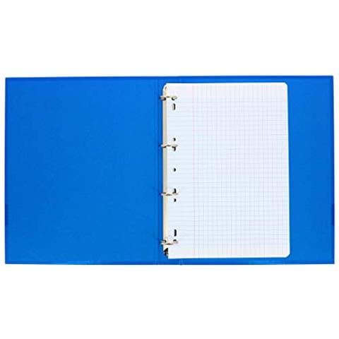 Oxford School Fogli Perforati Semplici A4, 21 X 29,7 Cm, 90 G, È Stato Coltivato Quadretti 500 Impagina - Foto 5