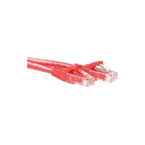 Cavo Rete - Categoria 6 - 3 m - 1 x RJ-45 Maschio Rete - 1 x RJ-45 Maschio Rete - Cavo patch - Rosso - Foto 1