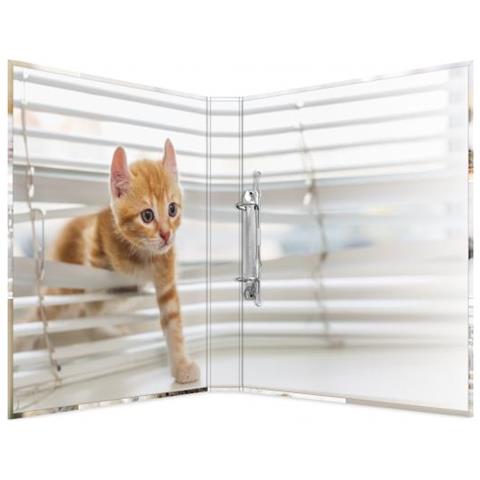 19428 Cartoncino Multicolore cartella - Foto 2