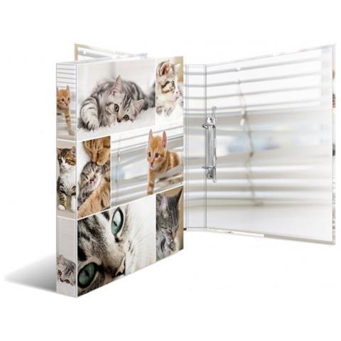 19428 Cartoncino Multicolore cartella - Foto 3