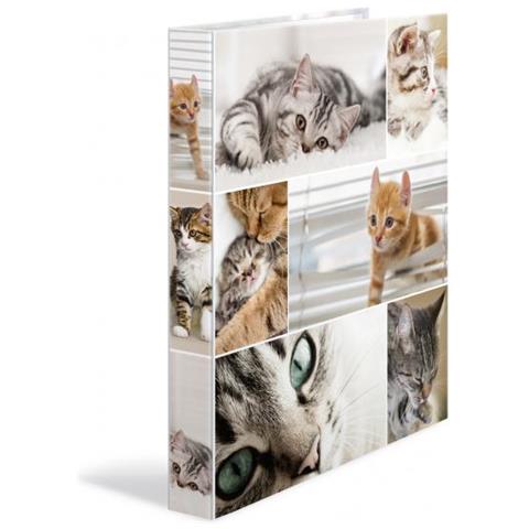 19428 Cartoncino Multicolore cartella - Foto 1