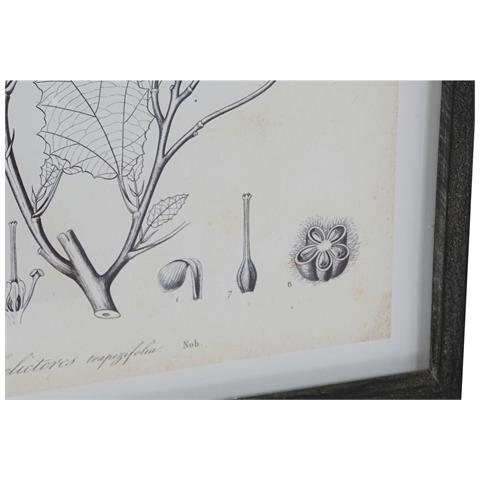 Quadro Dkd Home Decor Moderno Piante Botaniche 45 X 2,5 X 60 Cm (4 Unità) - Foto 3