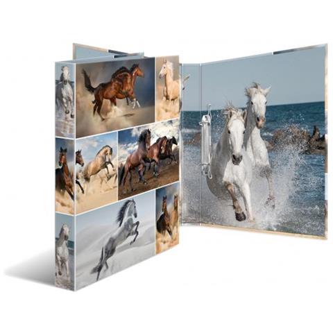 19429 Cartoncino Multicolore cartella - Foto 2