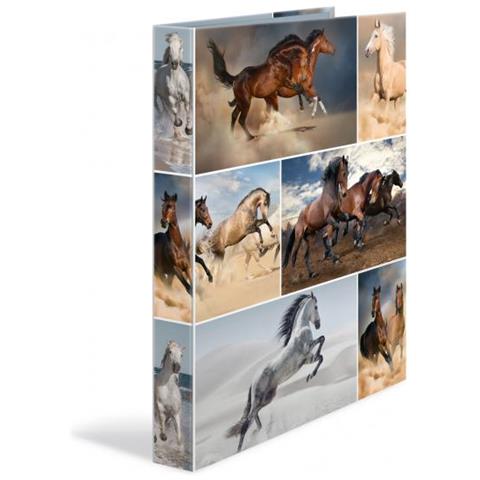 19429 Cartoncino Multicolore cartella - Foto 1