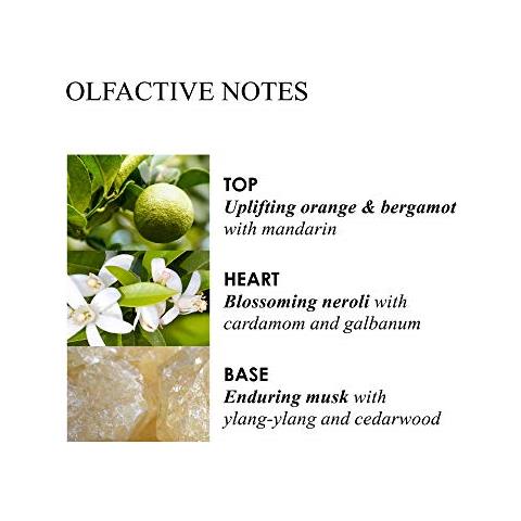 Arancio E Bergamotto Da Bagno E Gel Doccia 300 ml - Foto 2