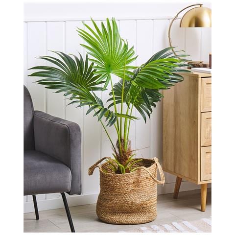 Pianta Artificiale In Vaso 100 Cm Fan Palm - Foto 1