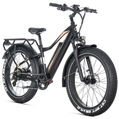 E-bike Bici Elettrica Fat Bike Misura 26 Robin Pro Batteria Al Litio Lg Da 48v 20ah Motore Bafang 250w 80nm New - Black-gold - Foto 1