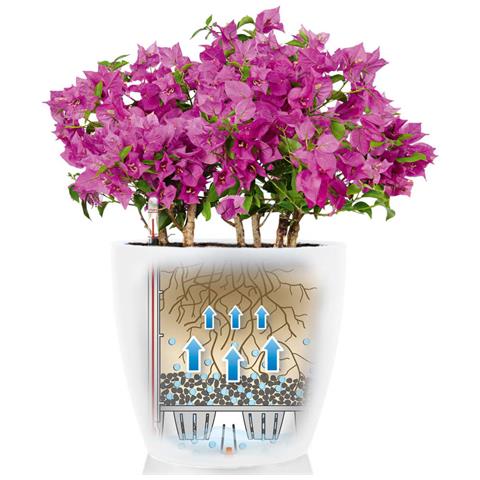 Vaso Classico Color 43 Bianco Ø42x39, 5 Cm 13230 - Foto 2