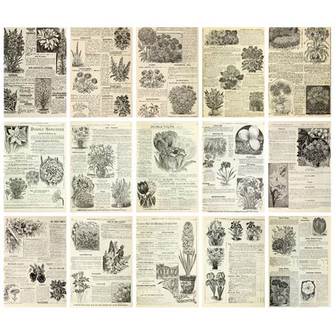 Carta Per Album Vintage Modello 1 - Foto 1