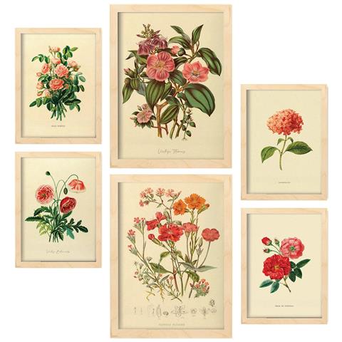 Set Di 6 Stampe Fiori Rosa Rosa In Stampe Vintage, Dipinti Decorativi Estetici Per Il Tuo Soggiorno Di Casa A3 & A4 Telaio In Legno Chiaro - Foto 1