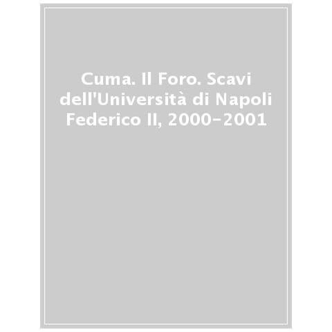 C. Gasparri - Cuma. Il Foro. Scavi dell'Università di Napoli Federico II, 2000-2001. Ediz. illustrata - Foto 1