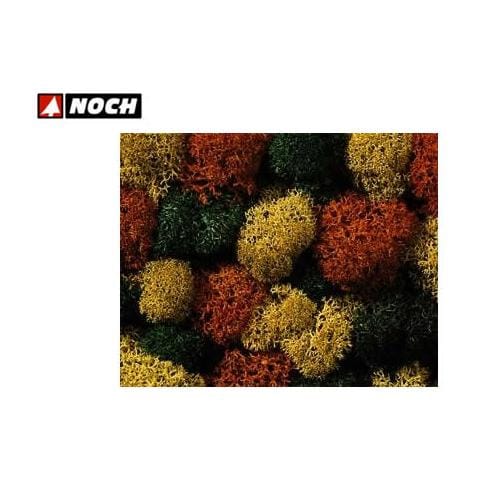 Sacchetto lichene autunnale misto XL 75 gr - Foto 1