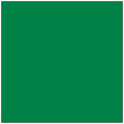 Pittura Acrilica Opaca Opaca - Verde Amazzone - 45 Ml - Foto 2