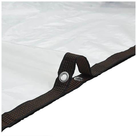 Telone Trasparente con Occhielli 3x4 m in Polietilene - Foto 2