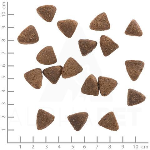 Adult 2 kg Adulto Cavallo, Patata dolce - Foto 2