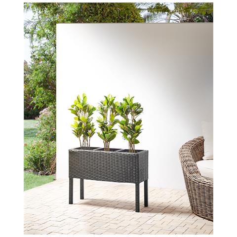Vaso Per Piante Rialzato Caragana Rattan Sintetico 77 Cm Nero - Foto 9