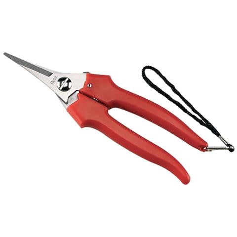 Forbice Cogliuva 190 Inox Punta 31329 - Foto 3