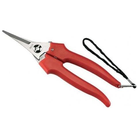 Forbice Cogliuva 190 Inox Punta 31329 - Foto 2