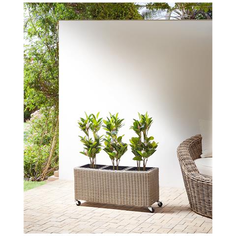 Vaso Per Piante Bellis Rattan Sintetico 82 Cm Marrone Chiaro - Foto 9