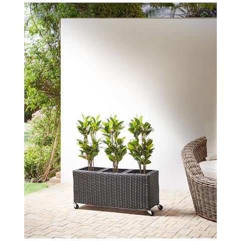 Vaso Per Piante Bellis Rattan Sintetico 82 Cm Nero - Foto 9