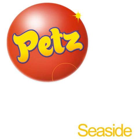 Animalz. Diversión En La Playa, 3DS, Nintendo 3DS, Piattaforma, , K-A (DA BAMBINI FINO ADULTI), ENG, ESP, Basico - Foto 1