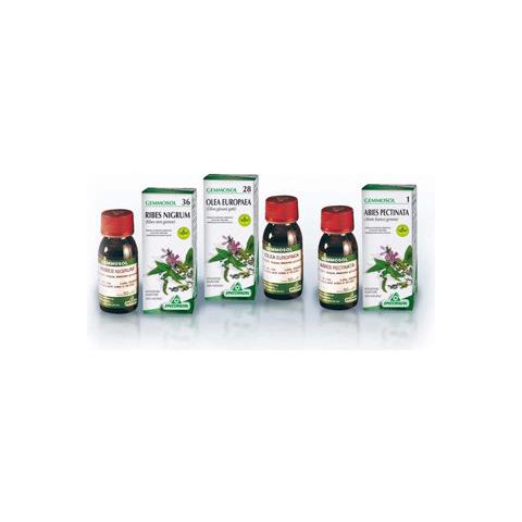 Gemmosol 46 Tiglio Argentato 50 Ml - Foto 2