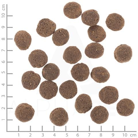 VetLine Hypoallergenic 2 kg Adulto Cavallo - Foto 3