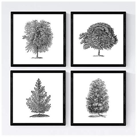 Set Di 4 Stampe Fogli Di Alberi. Tronco Medio Di , Carta Bianca Di Poster Di Sfondo 250 Gr E Inchiostri Di Alta Qualità Senza Cornice 30x30 Cm - Foto 1