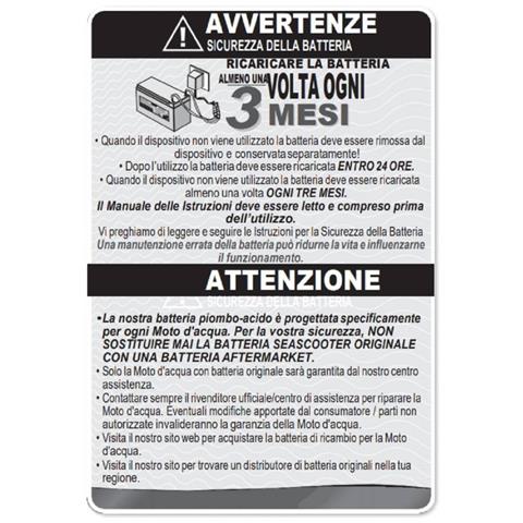 Batteria Litio Seawing Ii / Seaflyer 12842 /nautica - Foto 2