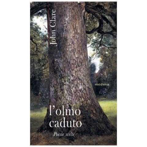 John Clare - L'olmo Caduto. Poesie Scelte - Foto 1