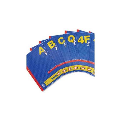 Ricamb Bianco A4 Neutro 40ff - Foto 1